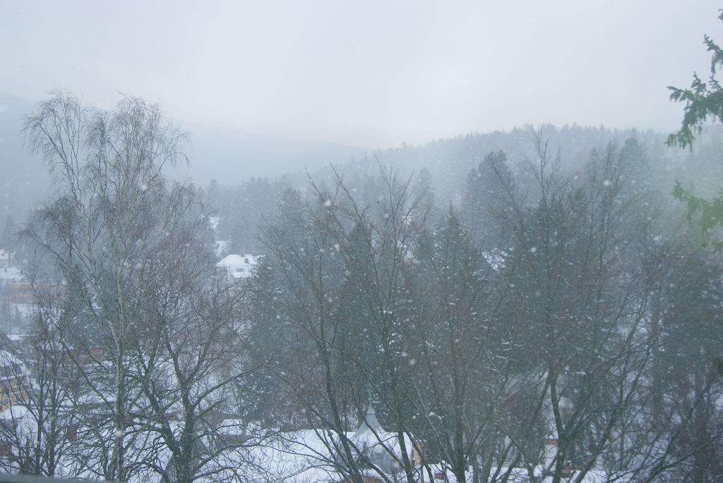 Villa Avangarda Szklarska Poręba Szoba fotó